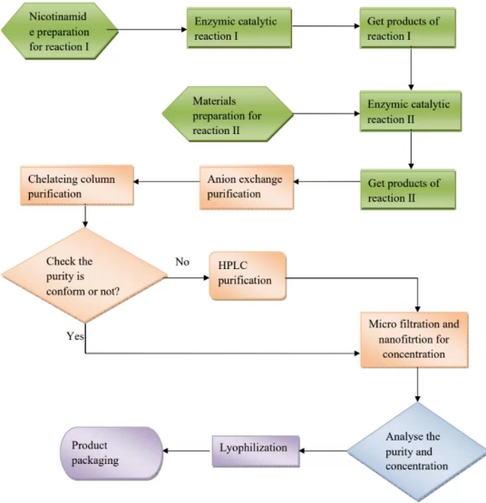 product-536-555 NMN Flow chart