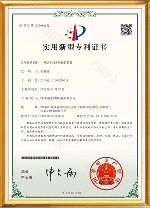Patent-1