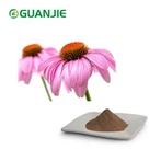 אבקת תמצית Echinacea